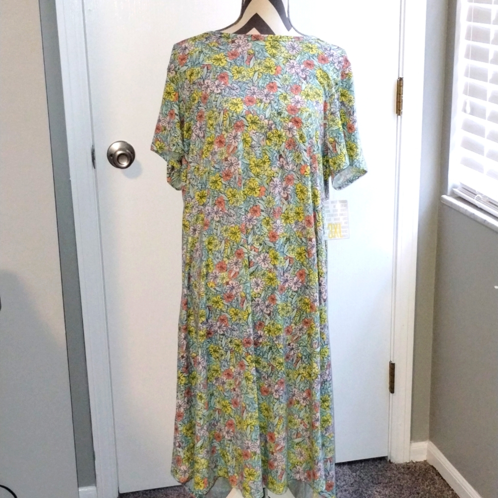 LuLaRoe Carly swing dress